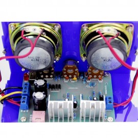 DIY TDA2030 Mini Amplifier Two Channel Speaker Audio Kit Electronic YD-2030 Assembly Active Audio Speaker